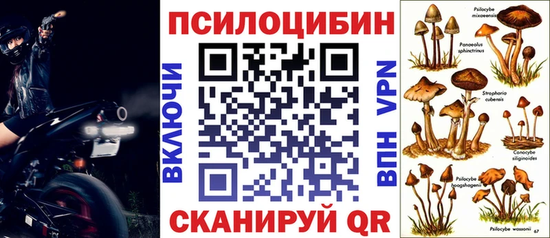 Псилоцибиновые грибы Psilocybine cubensis  Купить  Сусуман 